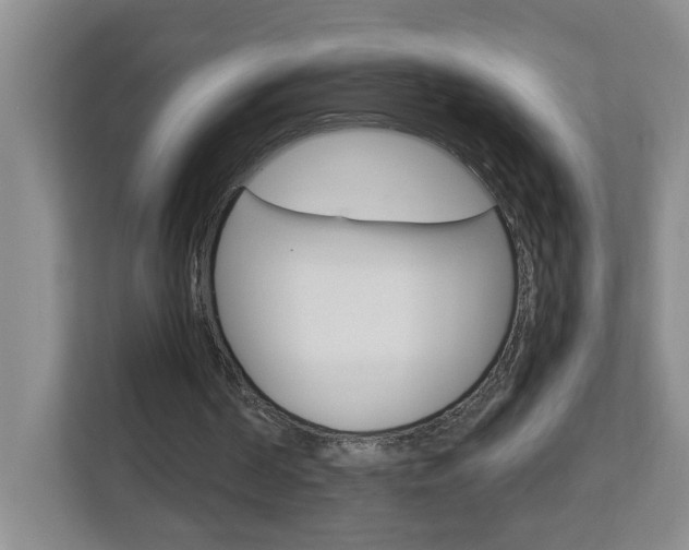 X0000112840194200908211005