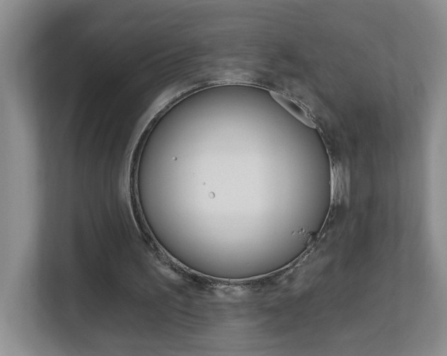 X0000112840195200908211005