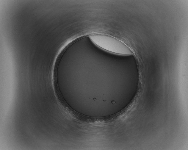 X0000112840196200908211005