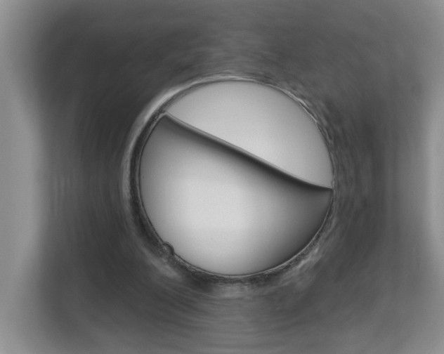 X0000112840200200908211005