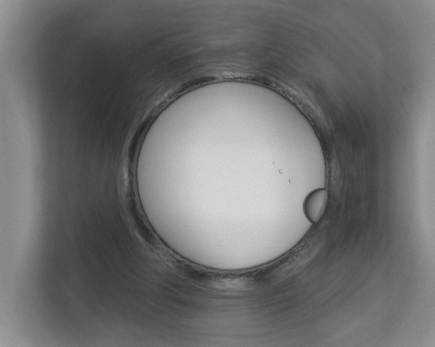 X0000112840202200908211005