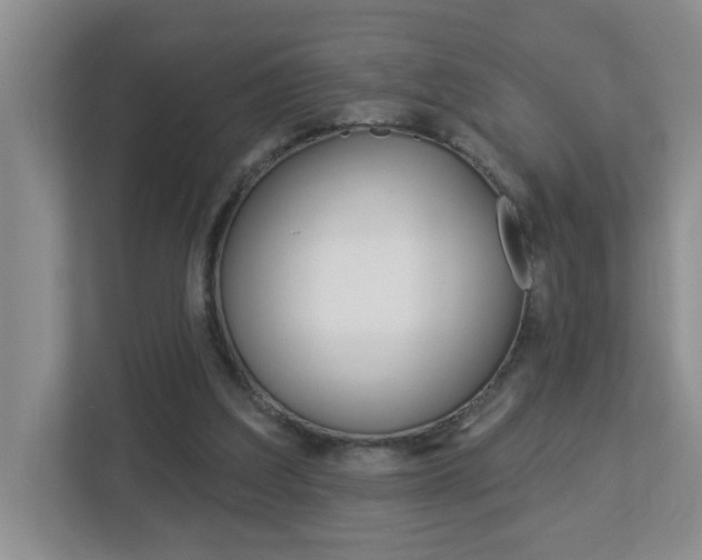 X0000112840203200908211005