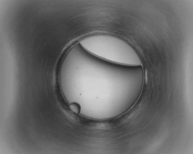 X0000112840204200908211005