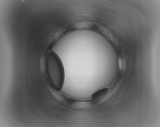 X0000112840205200908211005