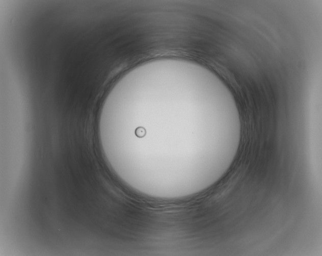 X0000112840207200908211005