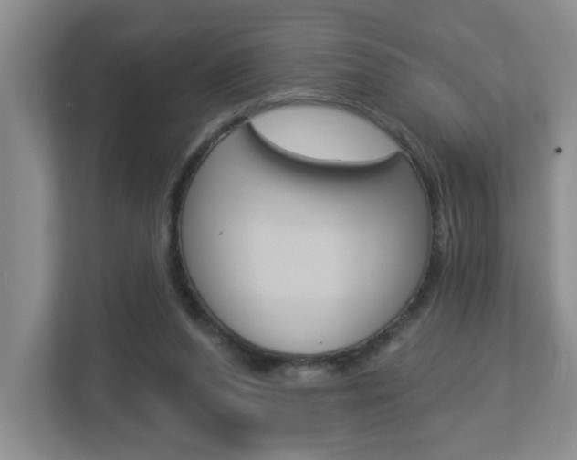 X0000112840208200908211005