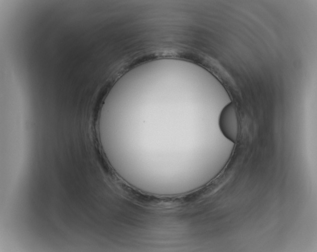 X0000112840209200908211005