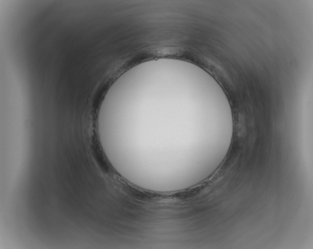 X0000112840210200908211005