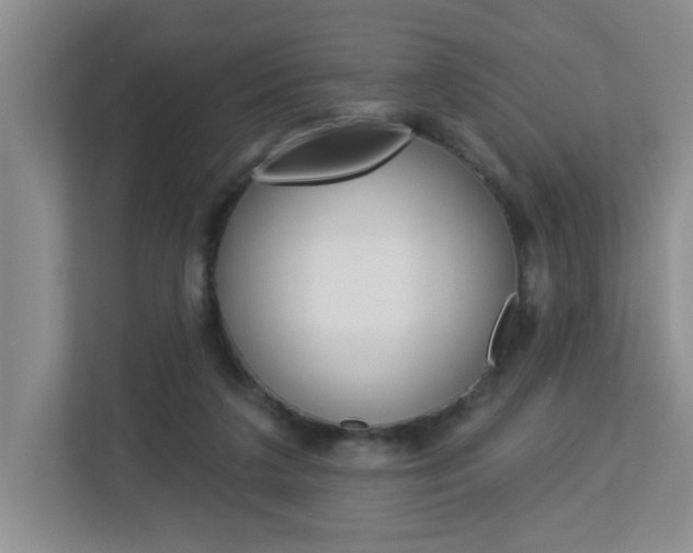 X0000112840211200908211005