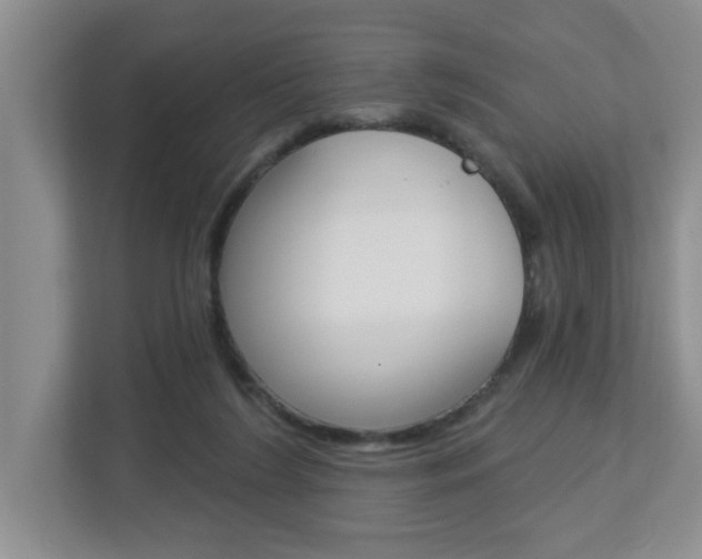 X0000112840212200908211005