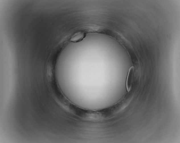 X0000112840215200908211005