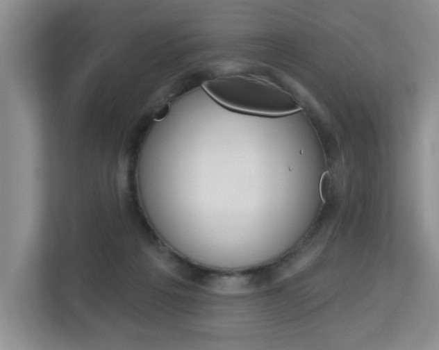 X0000112840217200908211005