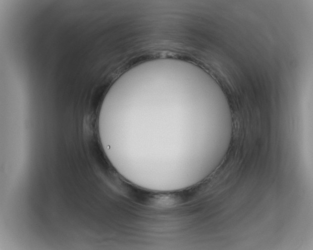 X0000112840218200908211005