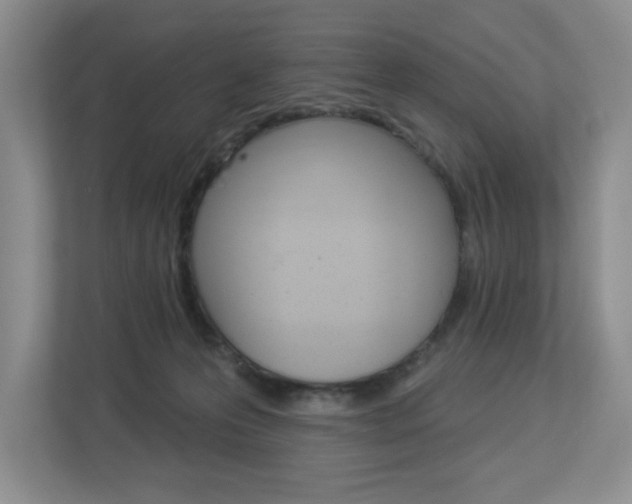 X0000112840223200908211005