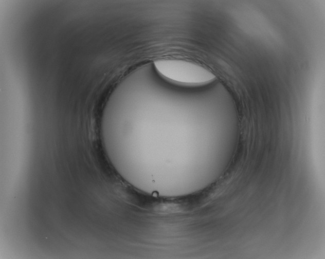 X0000112840224200908211005