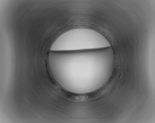 X0000112840225200908211005