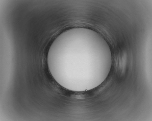 X0000112840228200908211005