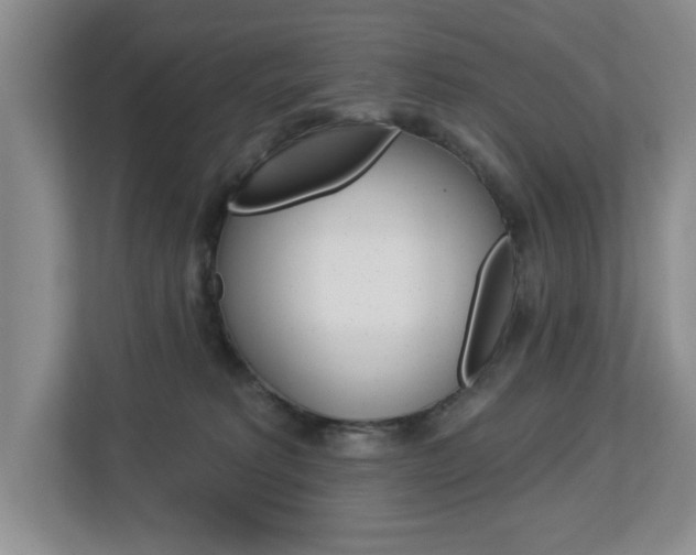 X0000112840229200908211005