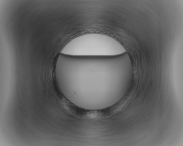 X0000112840231200908211005