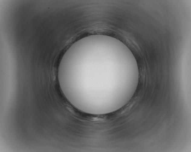 X0000112840232200908211005