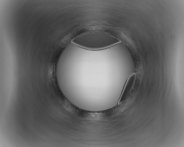 X0000112840233200908211005