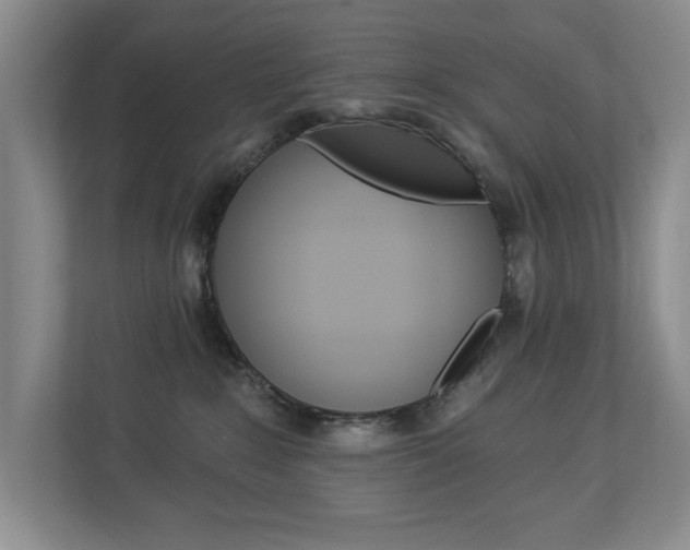 X0000112840235200908211005