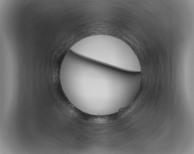 X0000112840236200908211005