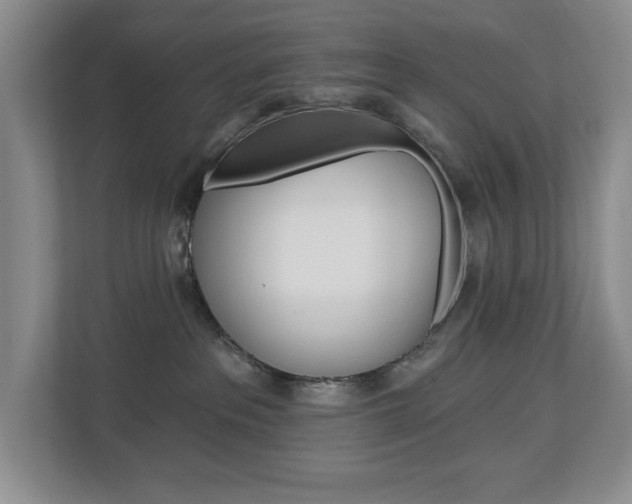 X0000112840237200908211005