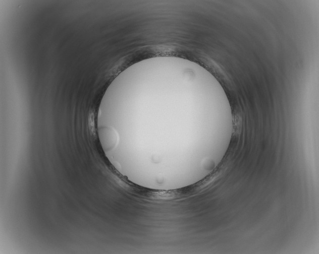 X0000112840238200908211005