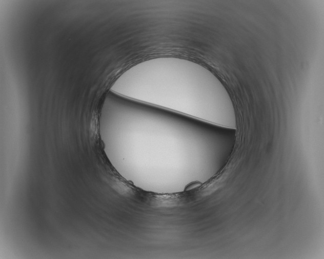 X0000112840240200908211005