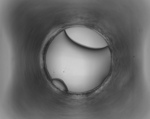 X0000112840245200908211004