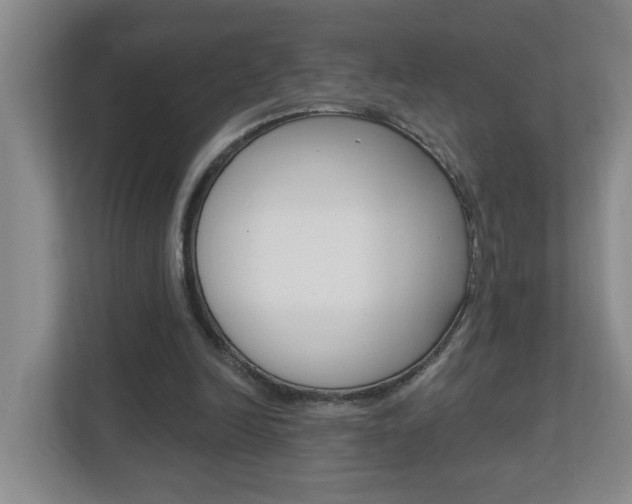 X0000112840246200908211004