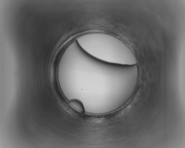 X0000112840247200908211004