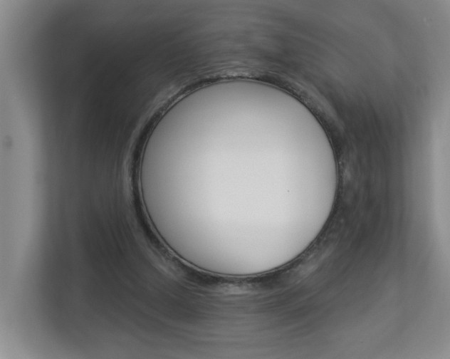 X0000112840250200908211004