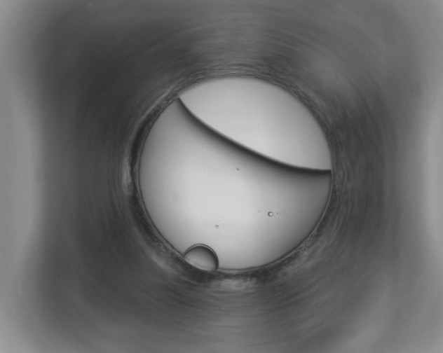 X0000112840251200908211004