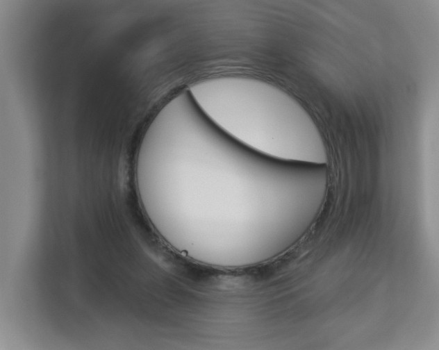 X0000112840255200908211004