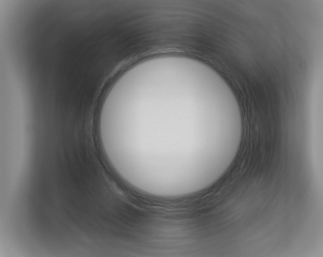 X0000112840256200908211004