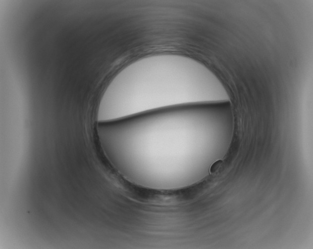 X0000112840260200908211004