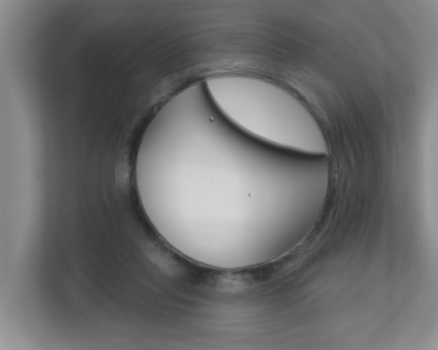 X0000112840261200908211004