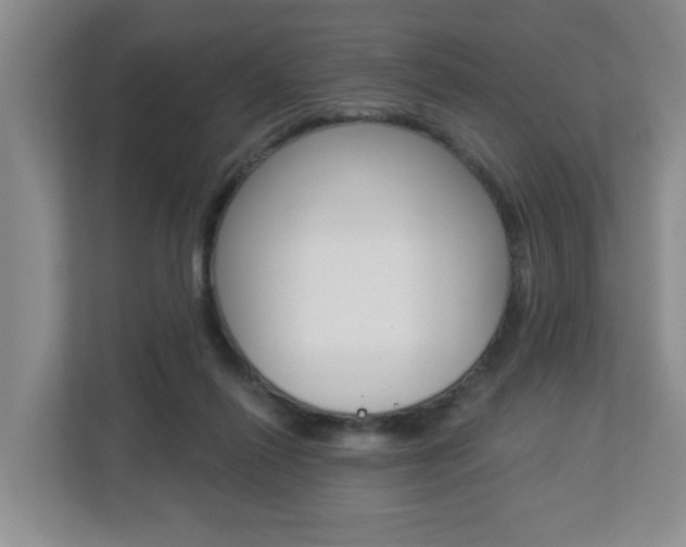 X0000112840262200908211005