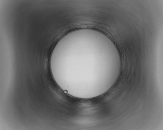 X0000112840263200908211005