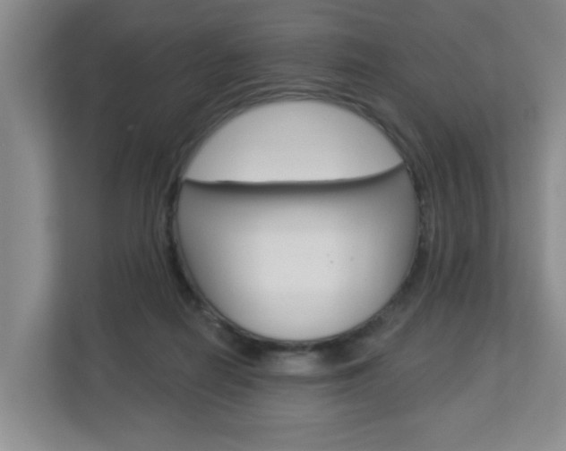 X0000112840266200908211005