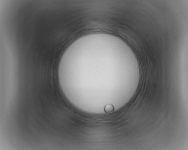 X0000112840268200908211005