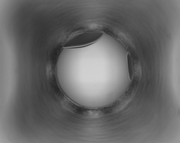 X0000112840272200908211005