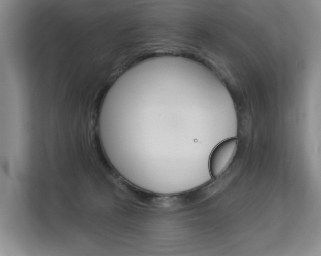 X0000112840273200908211005