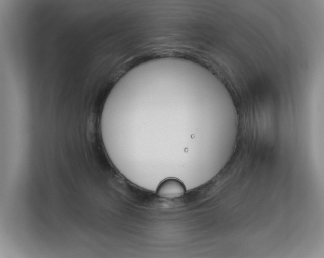 X0000112840275200908211005