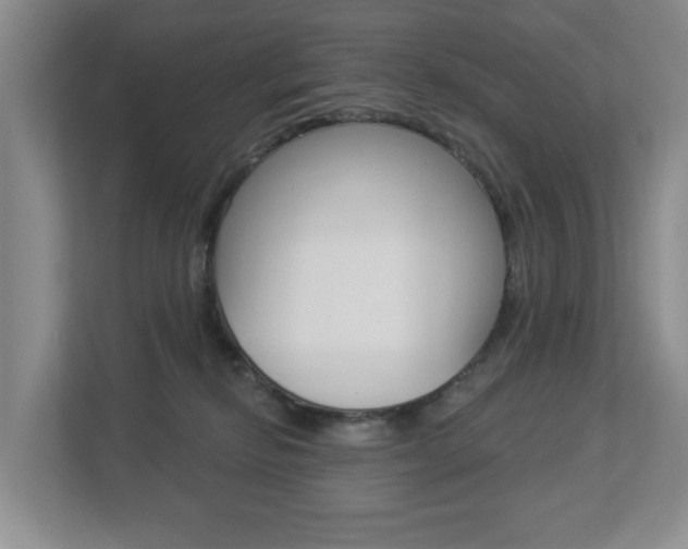 X0000112840278200908211005