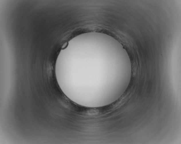 X0000112840279200908211005