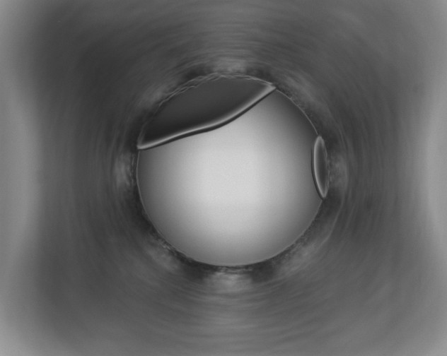 X0000112840280200908211005