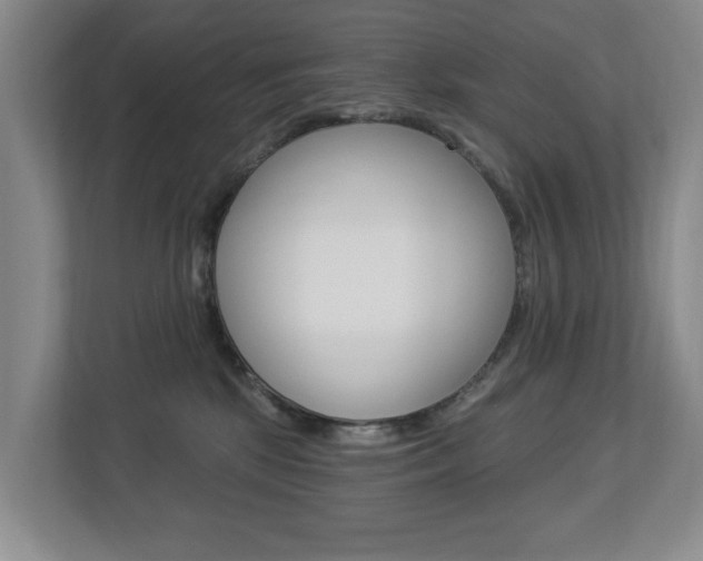 X0000112840281200908211005